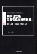 刑事诉讼法及配套规定新释新解