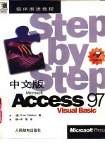 中文版Microsoft Access 97 Visual Basic