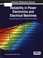 Reliability in power electronics and electrical machines industrial applications and performance mod