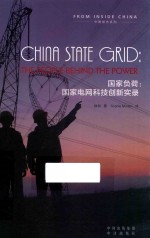 国家负荷 国家电网科技创新实录 the people behind the power