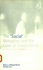 The 'social' as metaphor and the case of cooperatives