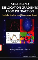 STRAIN AND DISLOCATION GRADIENTS FROM DIFFRACTION SPATIALLY-RESOLVED LOCAL STRUCTURE AND DEFECTS