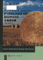 Pyrolysis of biomass (Volume 1)