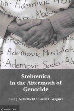 Srebrenica in the aftermath of genocide