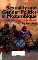 SEXUALITY & GENDER POLITICS IN MOZAMBIQUE RETHINKING GENDER IN AFRICA