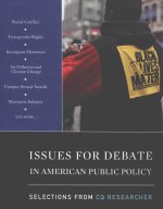 Issues for debate in American public policy