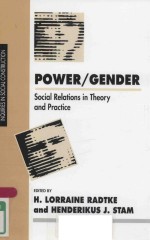 POWER GENDER SOCIAL RELATIONS IN THEORY AND PRACTICE