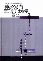 神经发育分子生物学