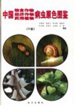 中国粮食作物、经济作物、药用植物病虫原色图鉴 下