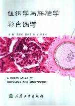 组织学与胚胎学彩色图谱