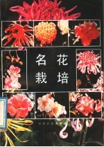 名花栽培