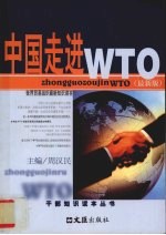 中国走进WTO 最新版