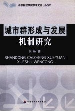 城市群形成与发展机制研究