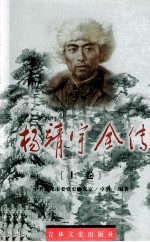 杨靖宇全传 上