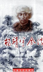 杨靖宇全传 下