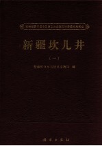 新疆坎儿井调查报告