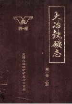 大冶铁矿志 1890-1985 第1卷 上