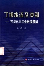 丁坝水流及冲刷 可视化与三维数值模拟