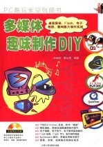 多媒体趣味制作DIY 桌面屏保、Flash、电子相册、数码影片制作实战