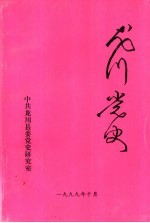 龙川党史 总第21期