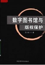 数字图书馆与版权保护