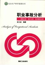 职业事故分析  原因分析，统计分析，经济损失分析