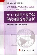 WTO知识产权争端解决机制及案例评析