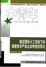 新型国际分工视角下的高新技术产业企业网络优势论