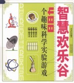 智慧欢乐谷 488个趣味科学实验游戏