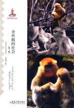 金丝猴的社会 第2版=A field study of the society of rhinopithecus roxellanae