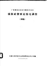 广西壮族自治区天峨县白定乡壮族社会历史情况调查 初稿