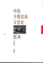 中国少数民族文化史图典 第8卷 东南卷