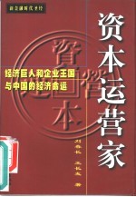 资本运营家 经济巨人和企业王国与中国的经济命运