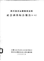 四川省凉山彝族自治州社会调查综合报告 初稿