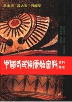 中国各民族原始宗教资料集成 纳西族卷 羌族卷 独龙族卷 傈傈族卷 怒族卷