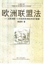 欧洲联盟法 从欧洲统一大市场到欧洲经济货币联盟