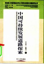 中国可持续发展道路探索