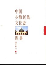 中国少数民族文化史图典 第5卷 西北卷 下