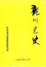 龙川党史 总第20期