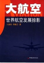 大航空  世界航空发展掠影