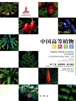 中国高等植物彩色图鉴  第2卷  蕨类植物  裸子植物