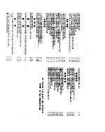 新华社新闻稿 1955年6月6日