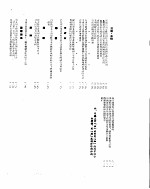 新华社新闻稿 1955年8月8日