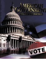 American government Principles and practices