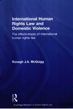 INTERNATIONAL HUMAN RIGHTS LAW AND DOMESTIC VIOLENCE