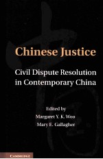 Chinese justice civil dispute resolution in contemporary China