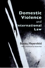 Domestic Violence and International Law