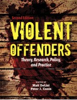 VIOLENT OFFENDERS THEORY