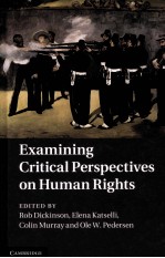 Examining critical perspectives on human rights