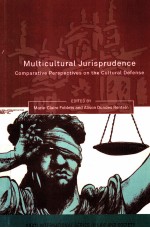 Multicultural jurisprudence